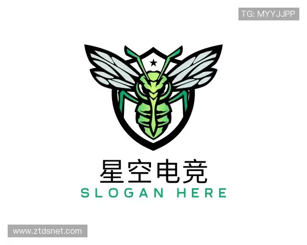 了解星空电竞